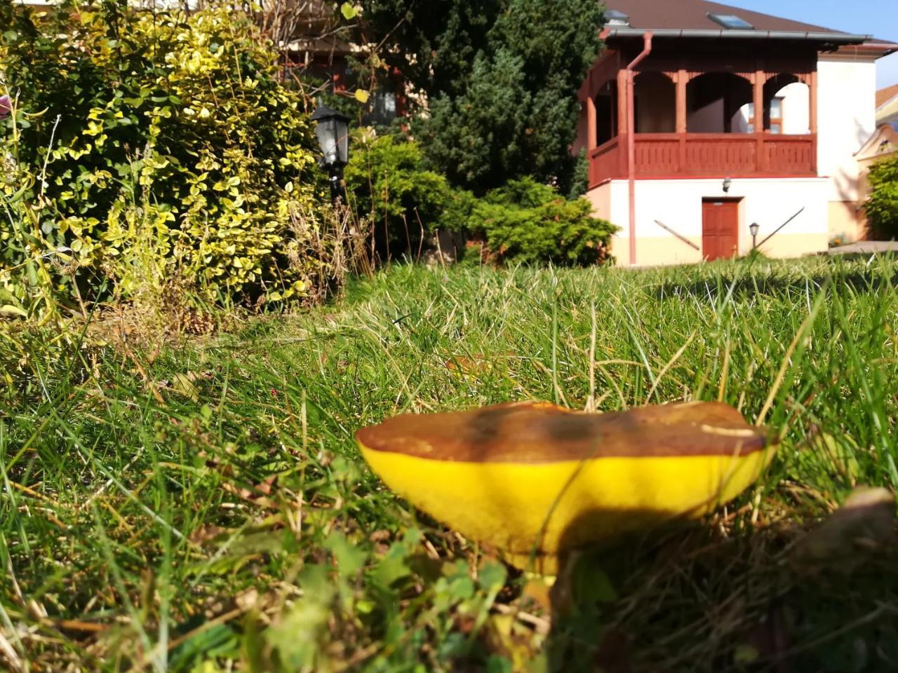 Penzion Rodina Levoča Exteriér fotografie